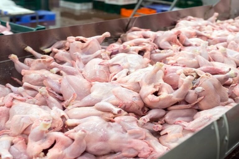 The,Meat,Factory.,Chicken,On,A,Conveyor,Belt