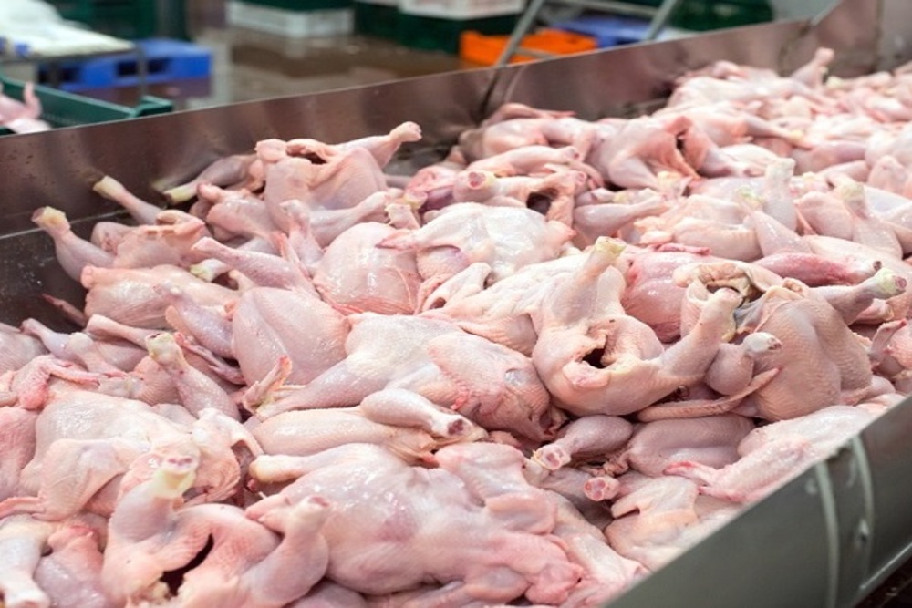 ZANCHETTA ALIMENTOS LTDA