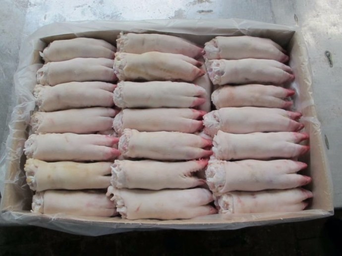 Frozen Pork Feet in Bulk